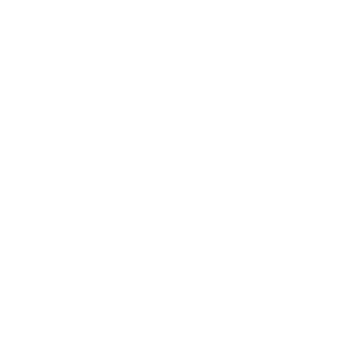 Function icon